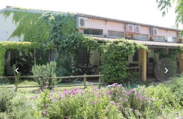 דירות מונטאלטו די קסטרו Il Piccolo Borgo מראה חיצוני תמונה